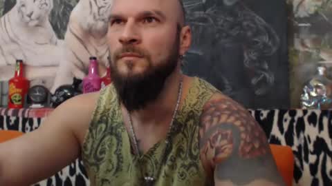viking online show from 27, 12, 2024