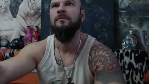 viking online show from 30, 12, 2024