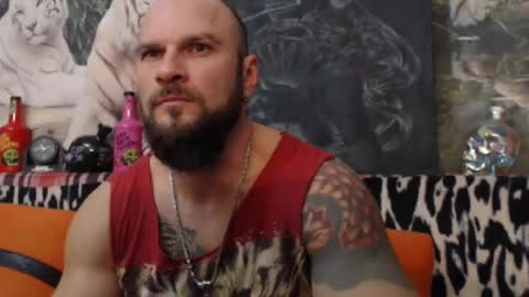 viking online show from 1, 1, 2025