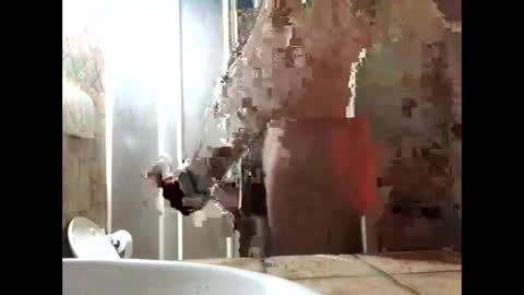 Zenith online show from 19, 3, 2026