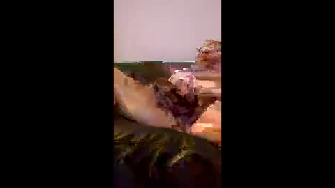 Snapshot of vinnieboiiii chatting on 6, 6, 2026 BigRed online show from 6, 6, 2026
