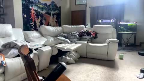 Sanji online show from 11, 1, 2025