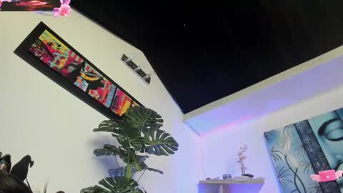 Snapshot of violetparkker chatting on 12, 3, 2025 violetparkker online show from 12, 3, 2025