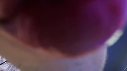 Snapshot of vittorio_cerati chatting on 29, 5, 2026 new acount online show from 29, 5, 2026