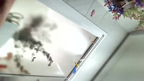 Viv online show from 6, 12, 2024