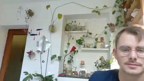 Viv online show from 31, 12, 2024