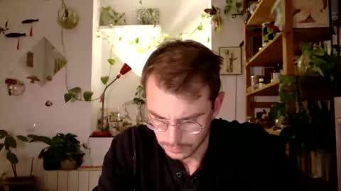 Viv online show from 15, 1, 2025