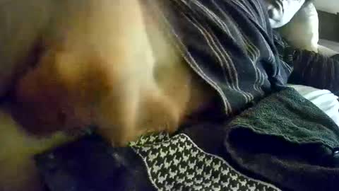 Snapshot of vleeslollie2024 chatting on 13, 1, 2025 vleeslollie2024 online show from 13, 1, 2025