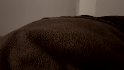 Snapshot of vm93m chatting on 2, 12, 2024 John online show from 2, 12, 2024