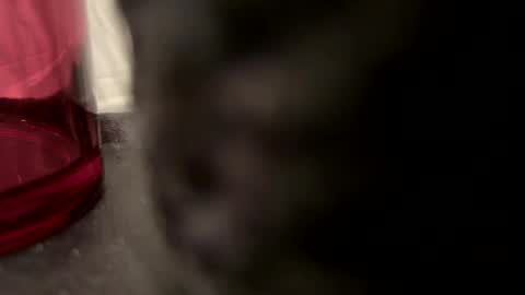 Snapshot of vm93m chatting on 22, 12, 2024 John online show from 22, 12, 2024