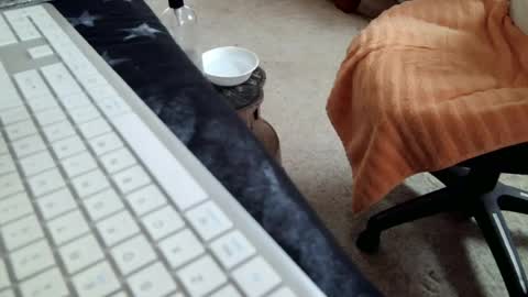 Snapshot of vnpg92 chatting on 16, 7, 2026 vnpg92 online show from 16, 7, 2026