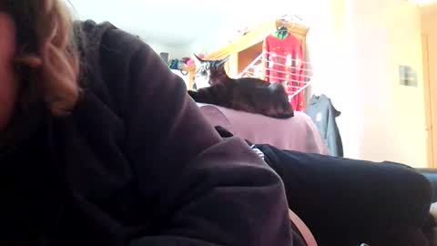 voetbal30 online show from 17, 1, 2026