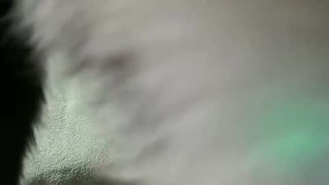 Snapshot of vulkan12p chatting on 28, 2, 2025 Daniel online show from 28, 2, 2025