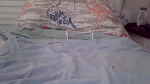 vwjim26 online show from 26, 9, 2025