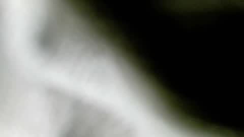 wangi_wangi online show from 18, 2, 2026