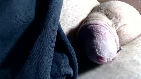 Snapshot of wantsum2night chatting on 6, 11, 2025 wants online show from 6, 11, 2025