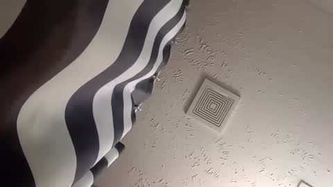 wanttowatch87 online show from 25, 12, 2024