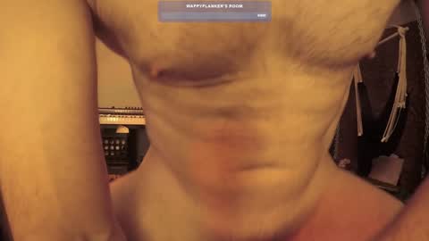 Snapshot of wappyflanker chatting on 11, 12, 2024 wappyflanker online show from 11, 12, 2024