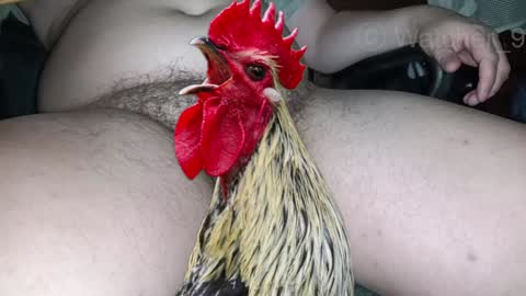 Snapshot of watcher_9 chatting on 24, 12, 2024 classified online show from 24, 12, 2024