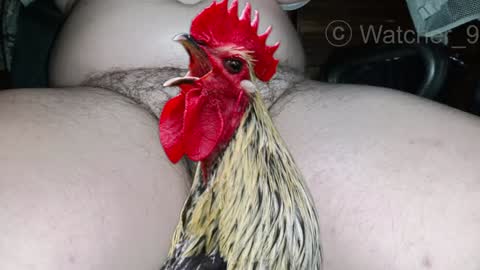 Snapshot of watcher_9 chatting on 25, 12, 2024 classified online show from 25, 12, 2024