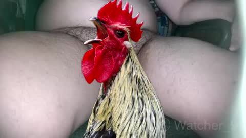 classified online show from 9, 11, 2025