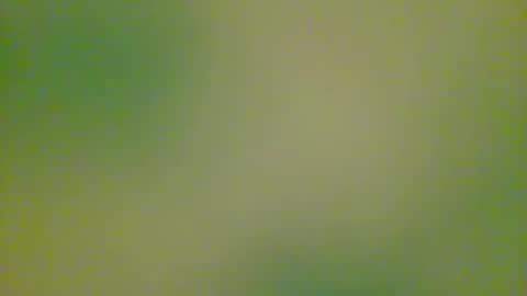 watchplaycum online show from 8, 10, 2025