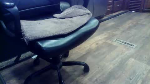 wayne1311 online show from 3, 2, 2026