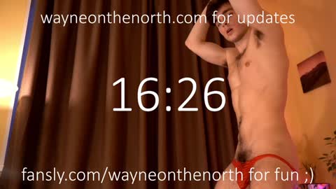 Snapshot of waynenorth chatting on 16, 12, 2024 waynenorth online show from 16, 12, 2024