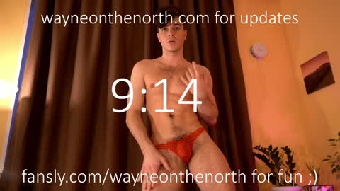 Snapshot of waynenorth chatting on 13, 1, 2025 waynenorth online show from 13, 1, 2025