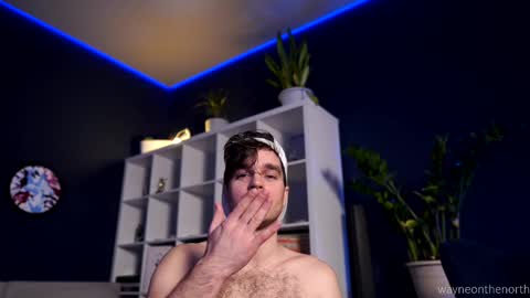 Snapshot of waynenorth chatting on 10, 2, 2025 waynenorth online show from 10, 2, 2025