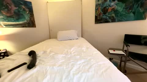 Retainer Forever Solo Album online show from 7, 3, 2026