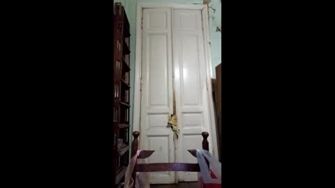 Marina online show from 5, 12, 2024