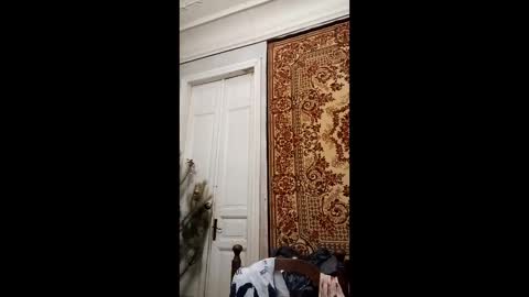 Marina online show from 26, 2, 2025