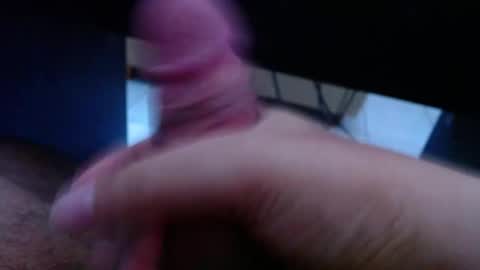 wellingtont online show from 25, 3, 2026