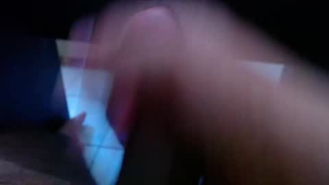 wellingtont online show from 2, 4, 2026