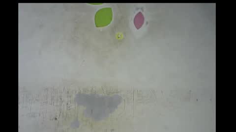 Bella online show from 14, 11, 2025