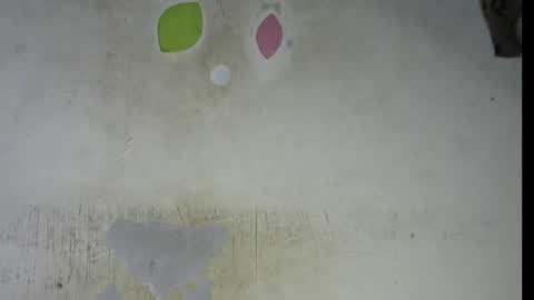 Bella online show from 6, 2, 2026