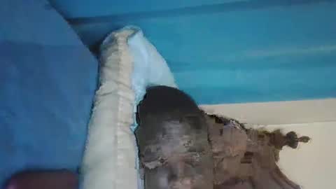 Snapshot of wetcock44 chatting on 3, 12, 2024 wetcock44 online show from 3, 12, 2024