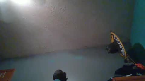 Snapshot of wetduck77777 chatting on 5, 10, 2025 wetduck77777 online show from 5, 10, 2025