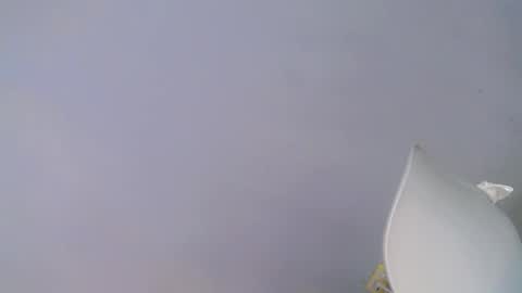 Snapshot of what_the_fuckxx chatting on 15, 1, 2026 kiara online show from 15, 1, 2026