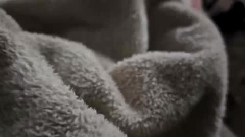 Snapshot of what_whaaat chatting on 2, 11, 2025 what_whaaat online show from 2, 11, 2025