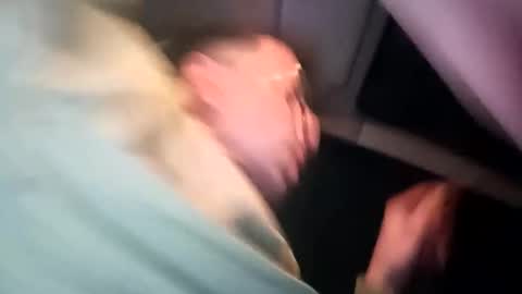 Snapshot of whatwouldyouliketosee chatting on 16, 11, 2025 stoffy online show from 16, 11, 2025