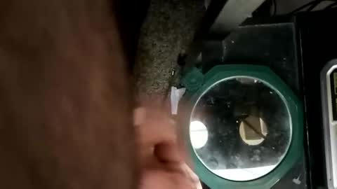 whetedoyouwantmetoputit online show from 10, 3, 2026