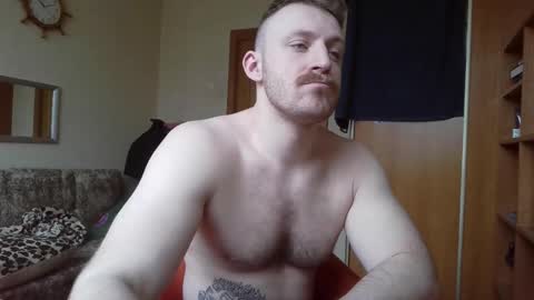 Snapshot of whitebull97 chatting on 2, 3, 2026 WhiteBull online show from 2, 3, 2026