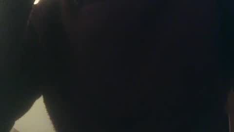 Whiteduke online show from 3, 1, 2025