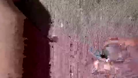 whitelava_4u online show from 26, 9, 2025