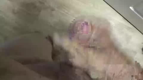 whitelava_4u online show from 30, 5, 2026