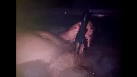 whiteoak19522 online show from 7, 4, 2026