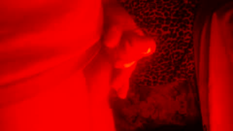 Snapshot of whor4mor chatting on 27, 12, 2024 whor4mor online show from 27, 12, 2024