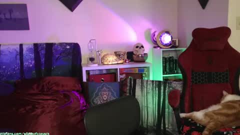 Snapshot of widthofapeach chatting on 21, 7, 2026 Gretchen Jimmy online show from 21, 7, 2026